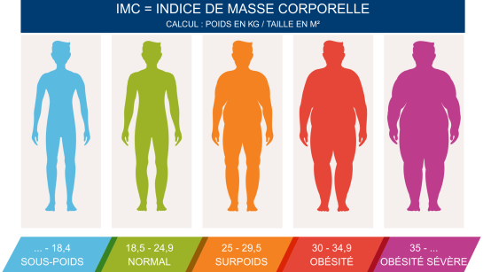 Calcul et gradation de l'indice de masse corporelle